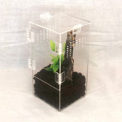 10x10x20-2mm-arboreal-enclosure-angle-view 10x10x20-2mm-arboreal-enclosure-angle-view